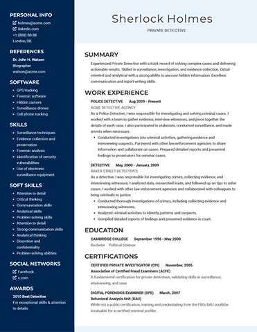 Moon Resume Template