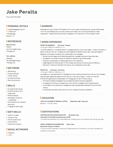 Sun Resume Template